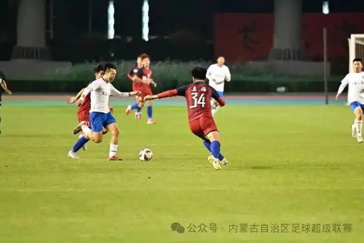 雨燕直播免费观看